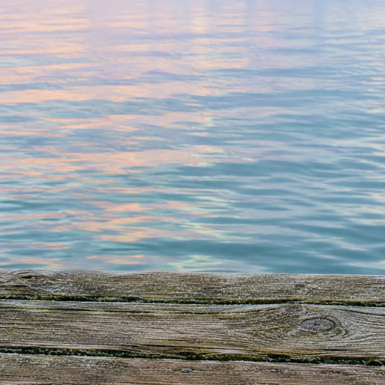 Elegant vantage points for vancouver canada photography locations around Granville Island and the waterfront